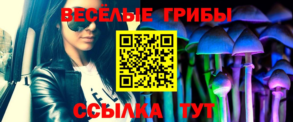 Псилоцибиновые грибы мицелий Сердобск