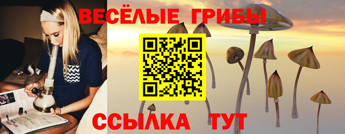 Псилоцибиновые грибы мухоморы  Вход с VPN  Сердобск 